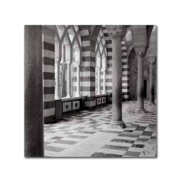 Alan Blaustein 'St Andrea II' Canvas Art, 14x14, Trademark Fine Art, Mfr#: ALI5146-C1414GG